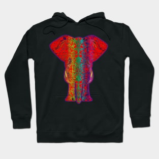 Rainbow Red Elephant on Purple Hoodie